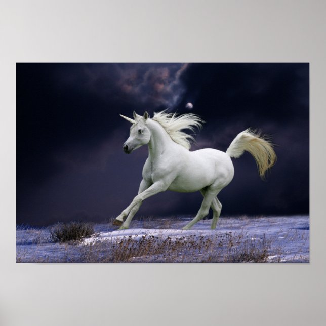 Affiches Chevaux d'Imaginaire : Unicorne (Devant)