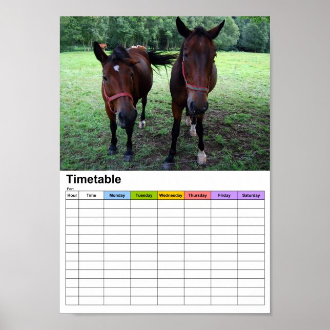 Affiches Chevaux en pâture / Horaire (Devant)