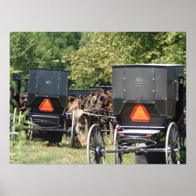 Affiches Chevaux et buggies Amish (Devant)