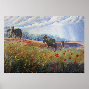 Affiches Chevaux et Poppys