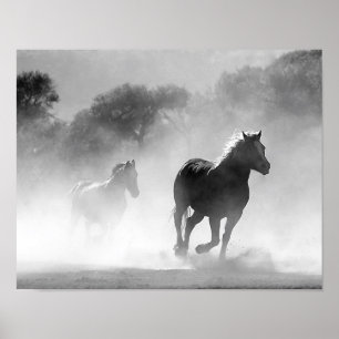 Affiches Chevaux fonctionnant dans le brouillard noir et