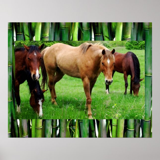 AFFICHES CHEVAUX HEUREUX (Devant)