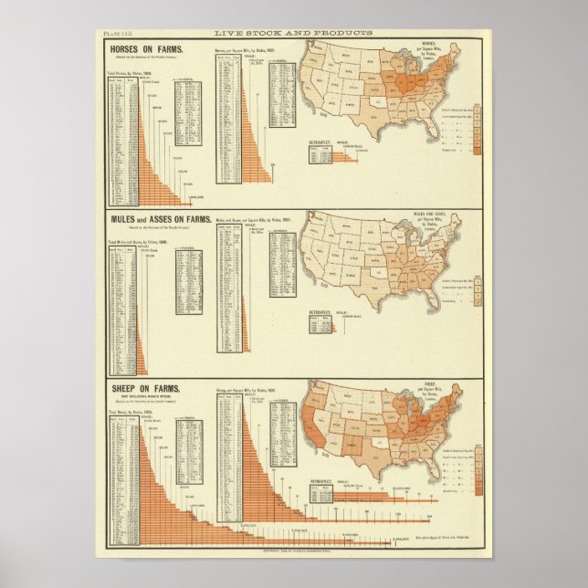 Affiches Chevaux, mules, ânes, moutons (Devant)