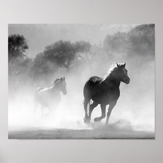 Affiches Chevaux qui courent dans le brouillard noir et bla (Devant)