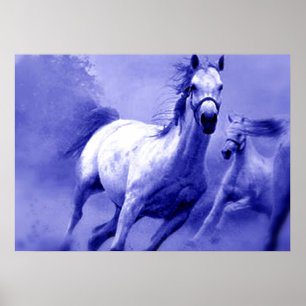 Affiches Chevaux sauvages bleus Motivation