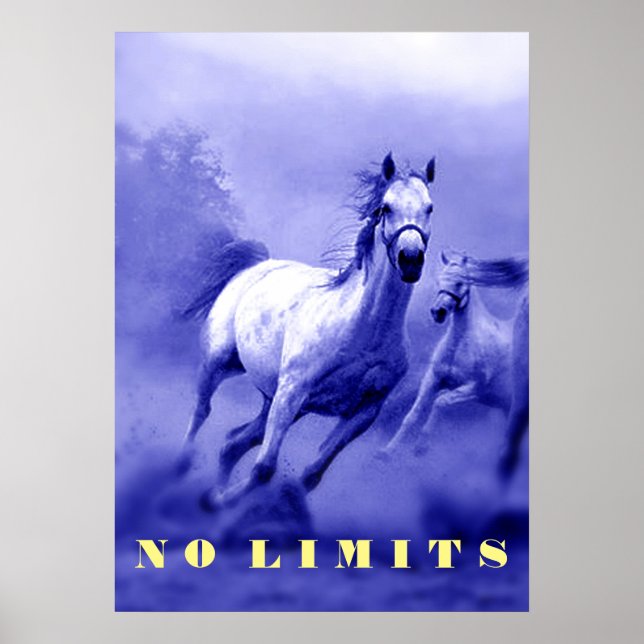 Affiches Chevaux Sauvages Bleus Motivation Sans Limitation (Devant)