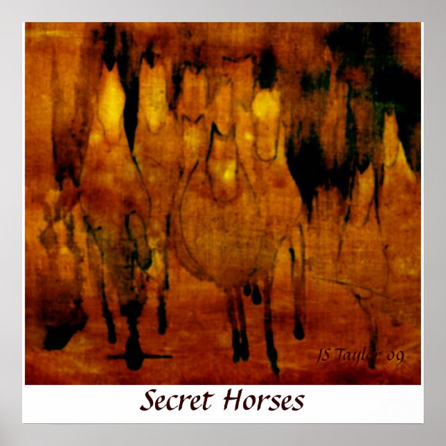Affiches Chevaux secrets (Devant)