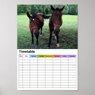 Affiches Chevaux sur pâturage / Horaires