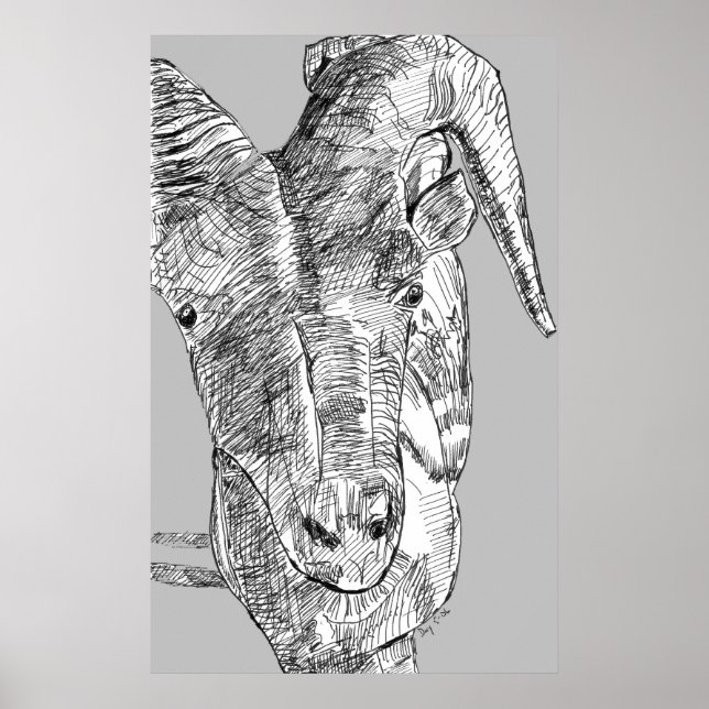 Affiches Chèvre de montagne (Devant)