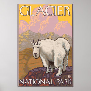Affiches Chèvre de montagne - parc national de glacier, la