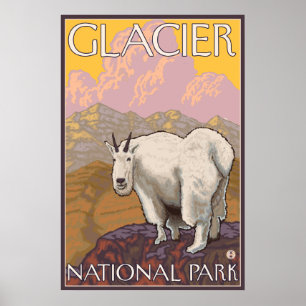 Affiches Chèvre de montagne - parc national de glacier, la