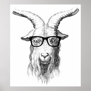 Affiches Chèvre hipster