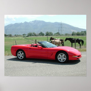 Affiches Chevrolet Corvette Convertible C5