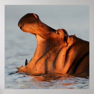 Affiches Chez Dusk Hippopotamus Portrait