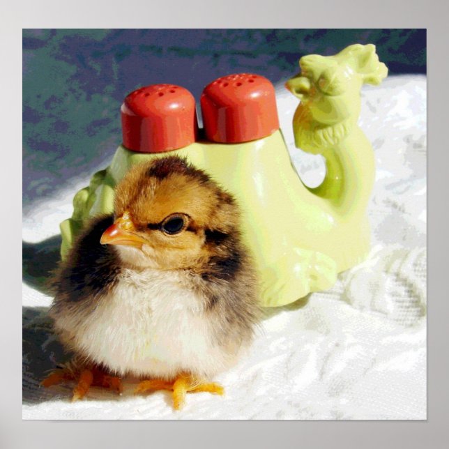 Affiches Chick et Camel (Devant)