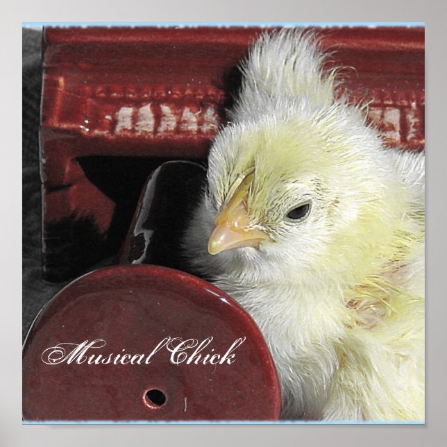 Affiches Chick musical (Devant)