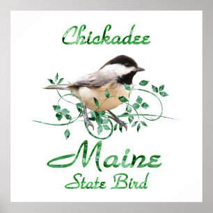 Affiches Chickadee Maine State Bird