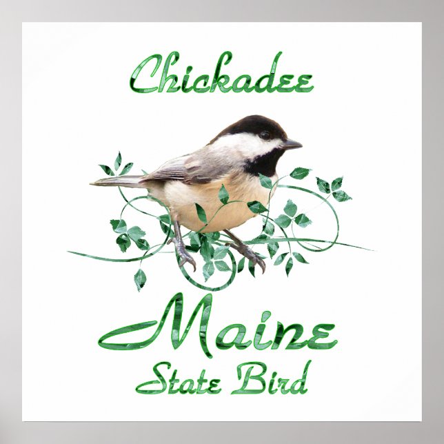 Affiches Chickadee Maine State Bird (Devant)