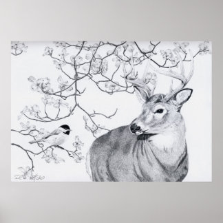 Affiches Chickadee's Song