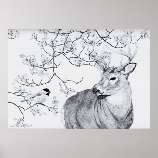 Affiches Chickadee's Song (Devant)