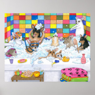 Affiches Chien 121 chihuahua