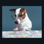 Affiches Chien avec lunettes de lecture étudier la carte<br><div class="desc">Animaux->Chien</div>