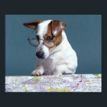 Affiches Chien avec lunettes de lecture étudier la carte<br><div class="desc">Animaux->Chien</div>