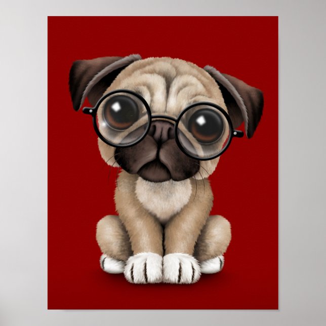Affiches Chien chiot mignon Carlin portant des lunettes de  (Devant)