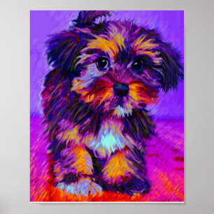 Affiches chien de calicot