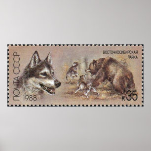 Affiches Chien de chasse d'affiche de timbre de ~ de l'URSS