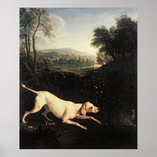 Affiches Chien de Louis XIV, Tane