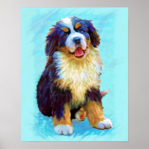Affiches chien de montagne bernese