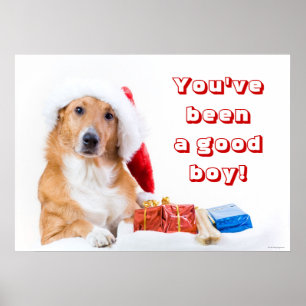 Affiches Chien de Noël avec l'andouiller et les cadeaux