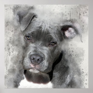 Affiches Chien de pitbull de peinture d'aquarelle d'effet