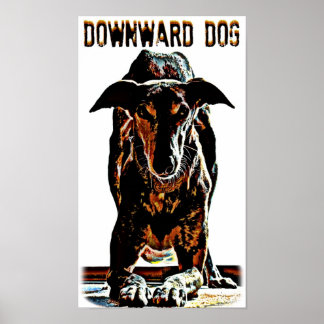Affiches Chien descendant
