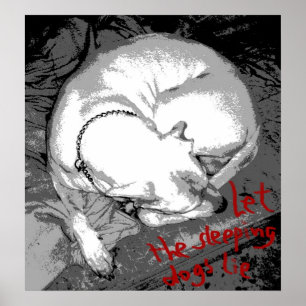 Affiches Chien dormant (affiche)
