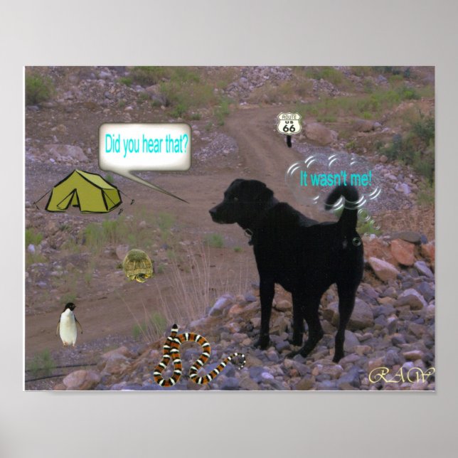 Affiches Chien Fart (Devant)