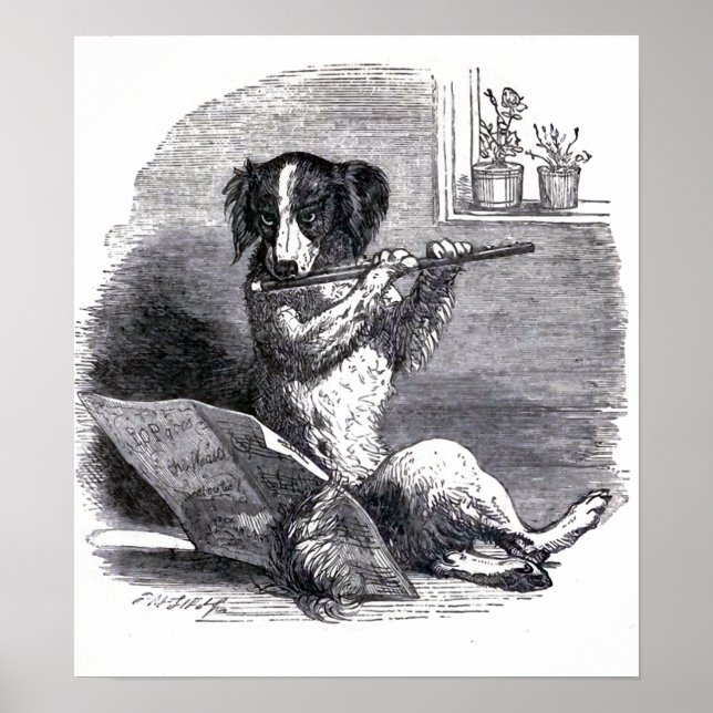 Affiches "Chien jouant de la flûte" Illustration vintage (Devant)
