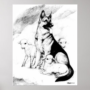 Affiches Chien paradis