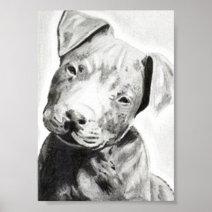 Affiches Chien Pitbull au crayon imprimé par Jacob Grimm