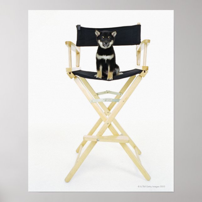 Affiches Chien Shiba Inu sur la chaise du réalisateur (Devant)