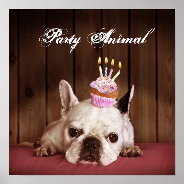 Affiches Chien-taureau français avec Cupcake d'anniversaire (Devant)