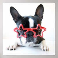 Chien-taureaux Français Avec Lunettes Red Star