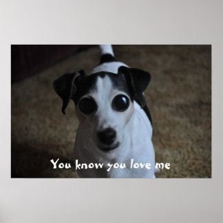 Affiches chien, tu sais que tu m'aimes.
