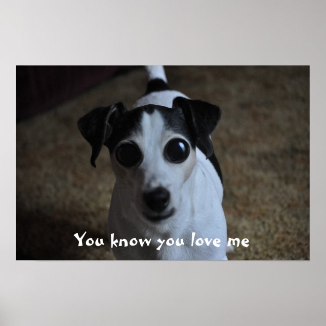 Affiches chien, tu sais que tu m'aimes. (Devant)