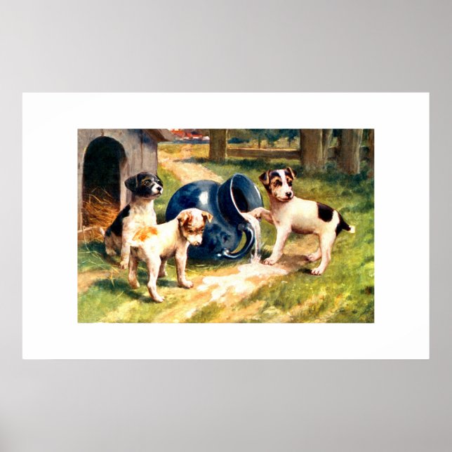 Affiches Chiens (Devant)