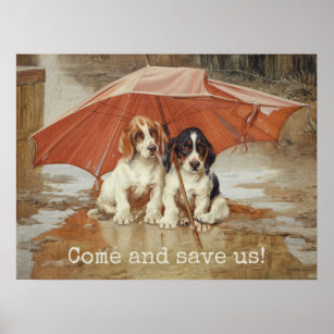 Affiches Chiens de chien de chien sous parapluie CC0867 Tro