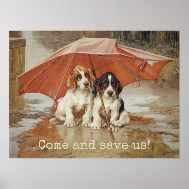 Affiches Chiens de chien de chien sous parapluie CC0867 Tro (Devant)