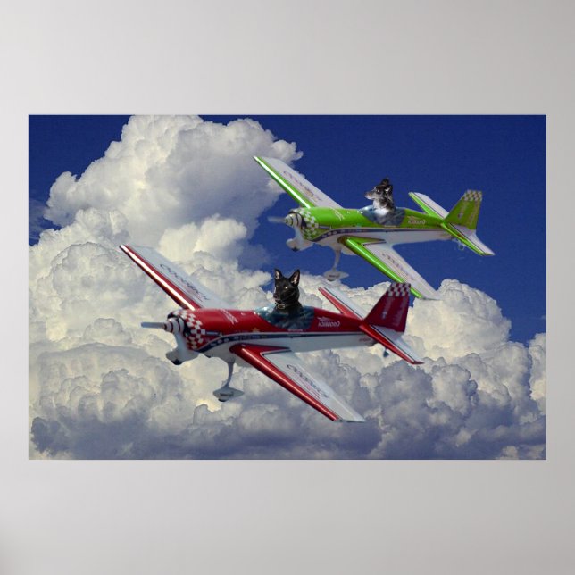 Affiches Chiens de vol 3 (Devant)