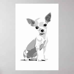 Affiches Chihuahua
